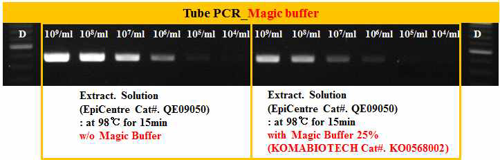 Magic buffer 이용 유전자 추출효율 비교