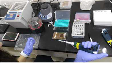 유전자추출에 사용되는 장치구성 (시약,원심분리기,가열기,파이펫)