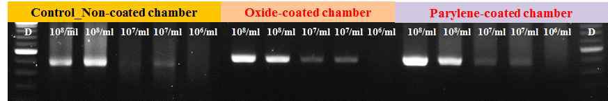 필름기반 디바이스 반응챔버 코팅여부에 따른 PCR 효율변화