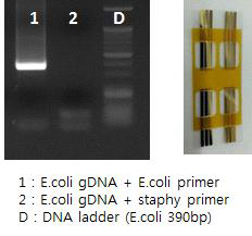 필름기반 PCR 증폭유무 확인. image 1: pefect match, image2: mis-match)