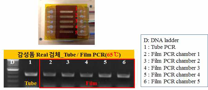 통합디바이스 내의 PCR 성능평가