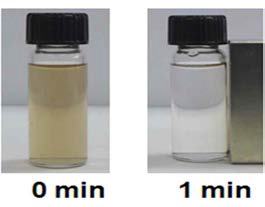 자석을 이용한 자성 나노입자 클러스터의 분리 (4 ml)