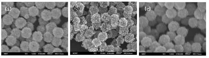 전자현미경 사진: 자성 나노입자 클러스터 (a), 금-자성 나노입자 클러스터 (b), 이산화 티타늄-자성 나노입자 클러스터 (c)