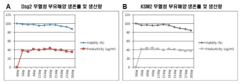 Dsg2 및 KSM2 항체 부유배양에 따른 생존률 및 생산량 분석