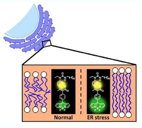 stress sensing chemical sensor.