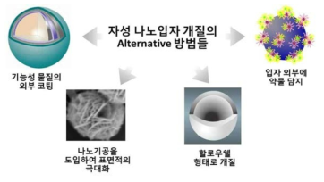 자성나노입자의 개질방법들에 대한 모식도