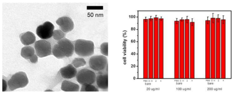 박테리아 유래 자성나노입자 표면에 다층박막을 제조한 TEM 이미지 (왼쪽), 세포 독성 실험 결과 (오른쪽)