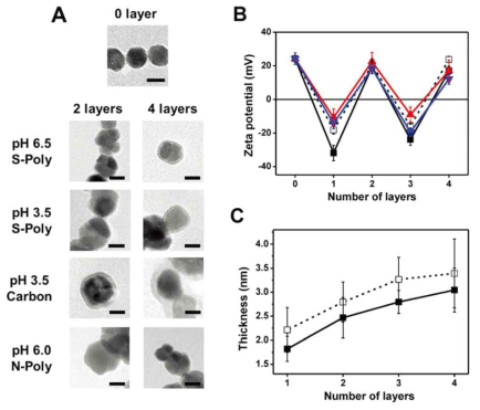 자성나노입자 표면에 다양한 물질 (PAA, PAH, graphene oxide, PLL, hyaluronic acid)을 다층박막으로 제조한 후 TEM 이미지 (왼쪽,A), 각 다층박막의 레이어에 따른 제타전위 변화 정도 (오른쪽, B), 박막을 제조한 pH에 따른 박막 두께 증가 양상 (오른쪽, C)