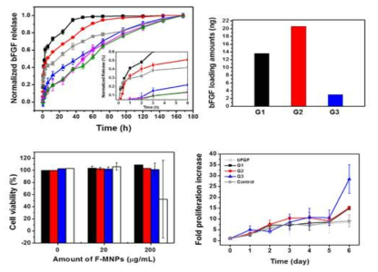 자성나노입자 기반의 성장인자 전달체의 성장인자 방출 정도 (왼쪽 위), 담지 양 (오른쪽 위), 세포 독성 정도 (왼쪽 아래), 세포 증식 정도 (오 른쪽 아래) 결과