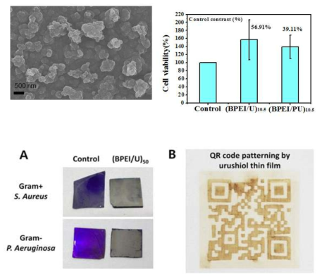 우루시올 다층박막의 SEM 이미지 (왼쪽), 우루시올 다층박막의 세포 독성 실험 결과 (오른쪽), 우루시올 다층박막의 antibacterial 효과 실험 (왼쪽 아래), 우루시올 다층박 막으로 제조한 patterning (오른쪽 아래)