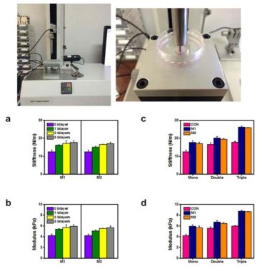 (위) 세포 시트 강도 측정기기 이미지 (아래) bare 세포 시트및 다층박막 제조 시트의 stiffness 및 modulus