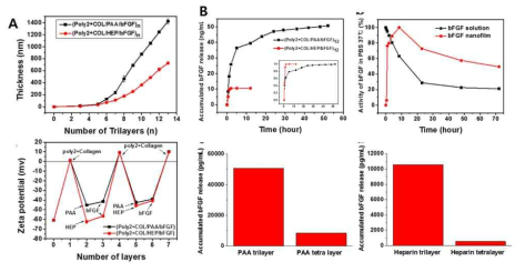 (A) bFGF를 포함하는 다층박막의 두께 증가 및 표면 전하 그래프 (B) 물질에 따른 bFGF 방출정도 및 담지량