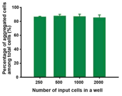 자기력 시스템에 도입 된 세포 중 3차원 세포 클러스터를 구성하는 데 쓰인 세포의 비율