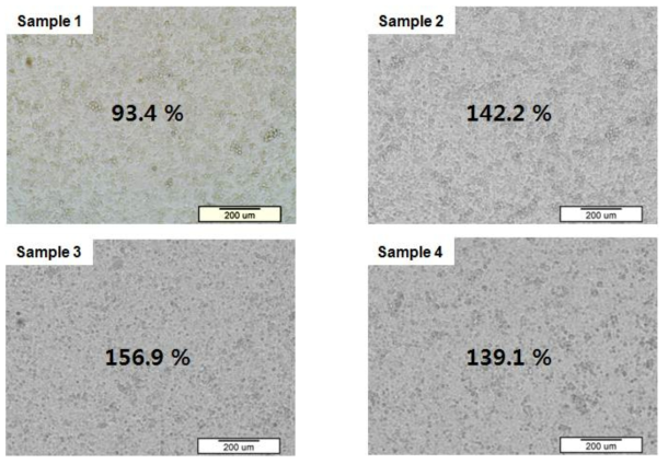 옻나무 추출물로 합성한 나노필름 위에서 배양한 세포의 광학현미경 사진과 생존률