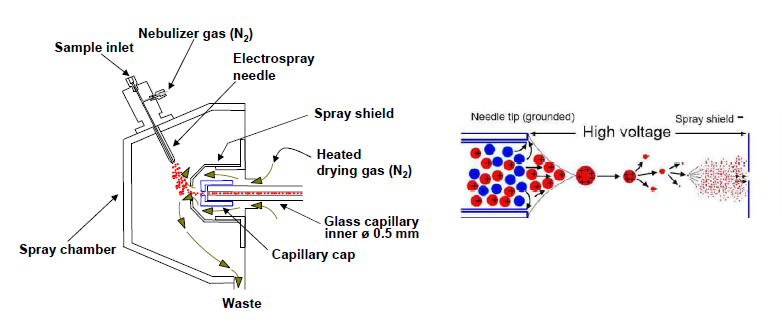 Electrospray ionization (ESI)의 기본 원리.
