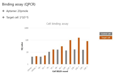 Binding assay after Cell-SELEX with target cell.