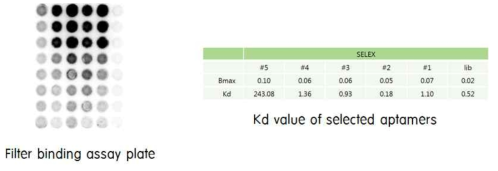 Binding assay and Kd value evaluation