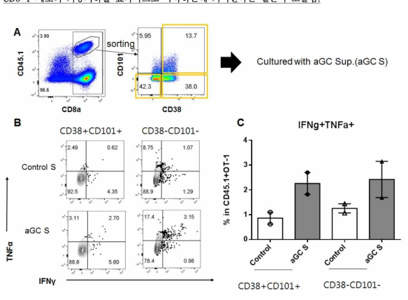 기능 저하 정도에 따라 분리한 기능 저하 CD8 T 세포의 αGC sup. 자극에 따른 기능 저하 회복양상 분석