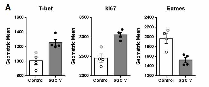 α-Galactosylseramide의 자극을 받은 마우스 내에 존재하는 CD8 T 세포의 전사인자 (T-bet, Ki-67 & Eomes) 발현 양상