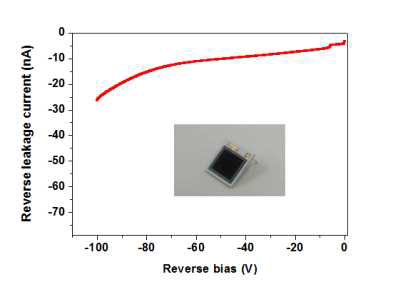 제작된 PIN 10mm x 10mm photodiode의 센서 누설전류 측정