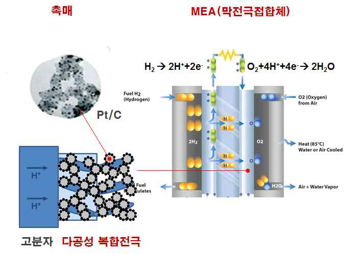 전극 미세 구조 모식도 (좌)와 MEA 구조 (우)