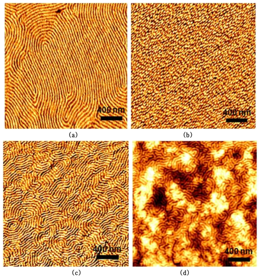 새로운 아조계 BCP (PMMA-PDAEMA-S3, 조성비=74/26) 박막의 용매(1 h) 또는 온도(18h) 아닐링 후 AFM 이미지