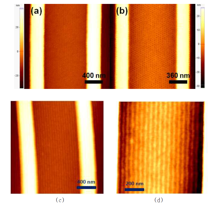 폭 1.0 um인 템플레이트 안에 배향된 나노구조체의 AFM 사진