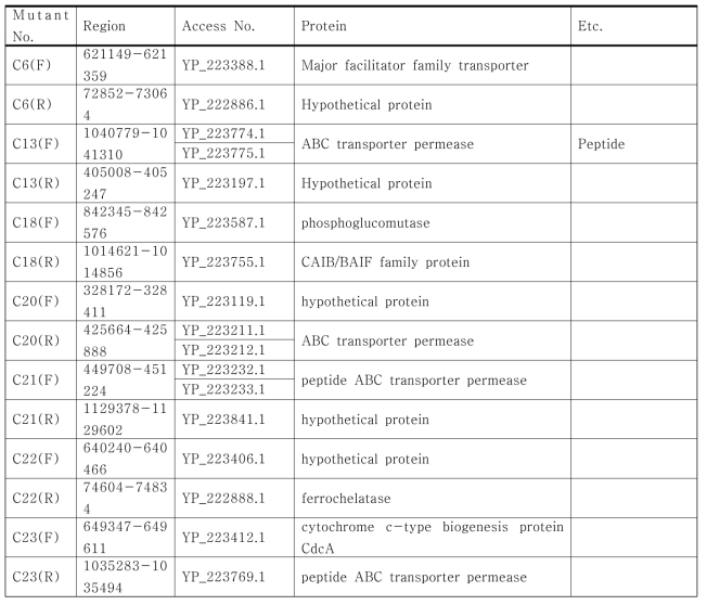 HeLa 세포의 Group3의 Chromosome II과 sequencing matching 분석 결과