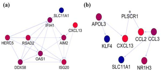 브루셀라 변이주 C127, C32 감염에 따른 THP-1 세포내에서의 유전자 네트워크.