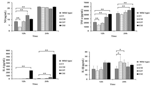 브루셀라 변이주 자극에 따른 RAW 264.7 세포에서의 NO 및 cytokines 발현량