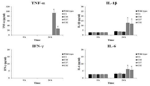 브루셀라 변이주 자극에 따른 THP-1 세포에서의 cytokines 발현량