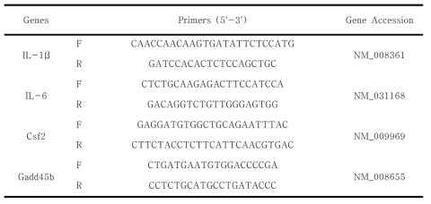 Quatitative real-time PCR에 이용된 primers (RAW 264.7 세포)