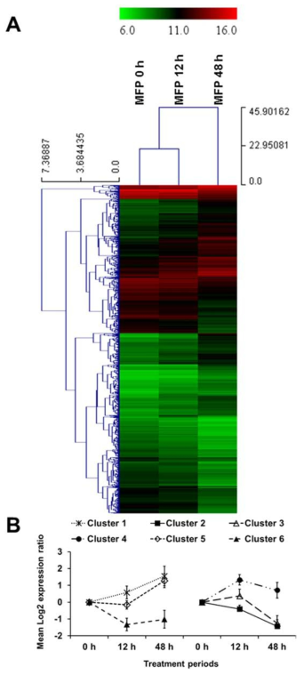 MultExperiment Viewer software를 이용한 Mica fine particle 100 µg/ml 자극에 의한 RAW 264.7 mouse macrophage cell line의 유전자 발현 양상 분석.