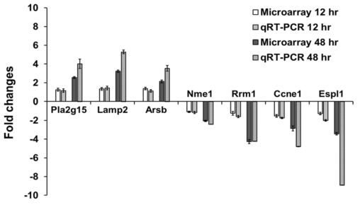 Quantitative real-time PCR (qRT-PCR)을 통해서 재확인한 microarray 결과.