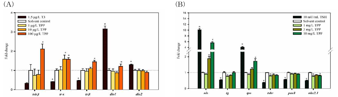 TPP에 노출된 GH3 세포(A) 또는 FRTL-5 세포(B)에서 유전자 전사 수준 변화.