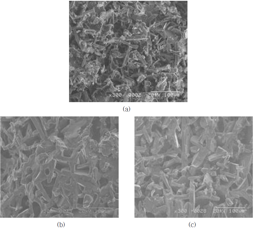MK와 페놀수지 분말 함량 별 탄화규소 다공체 미세구조 사진