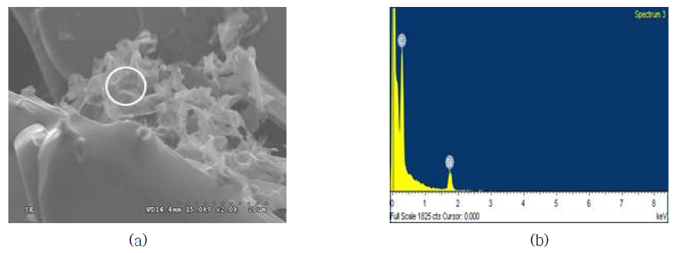 탄화규소 다공체 S3시편의 EDS 분석
