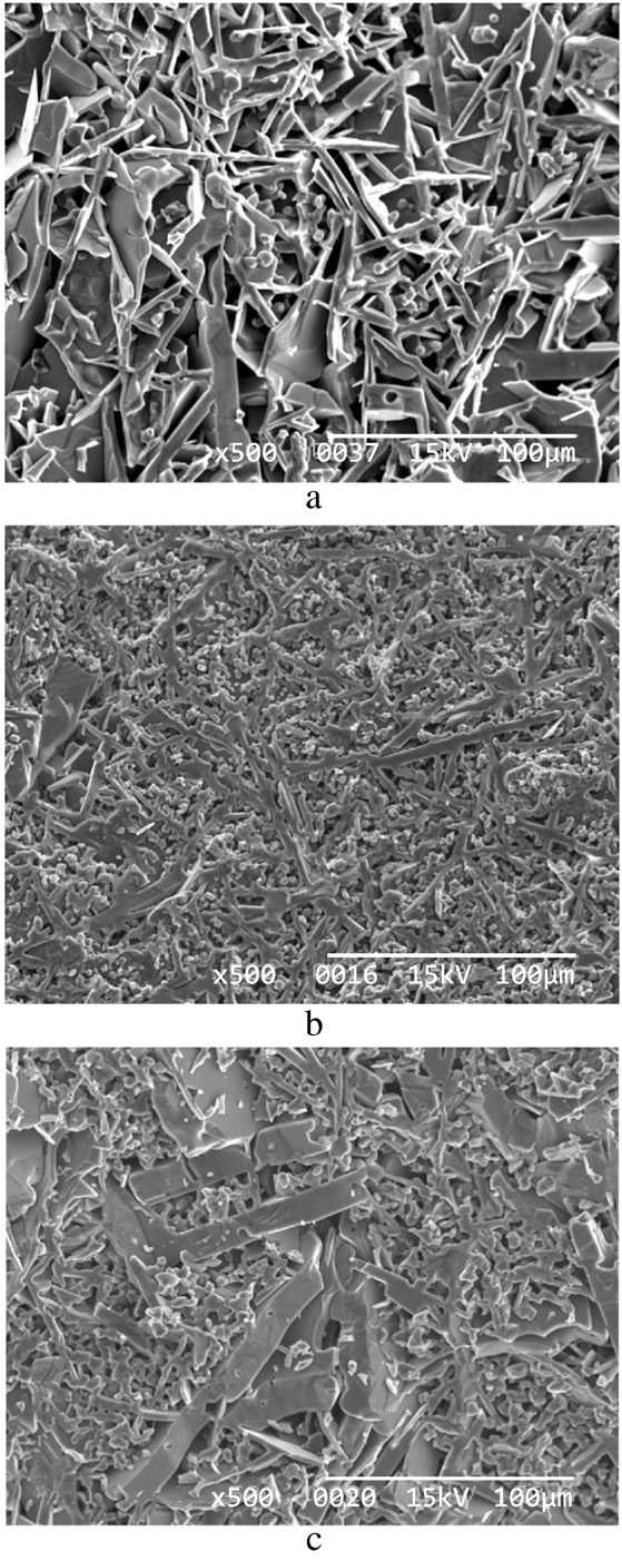 Fracture surfaces of SiC specimen sintered at 2000℃ for 1h