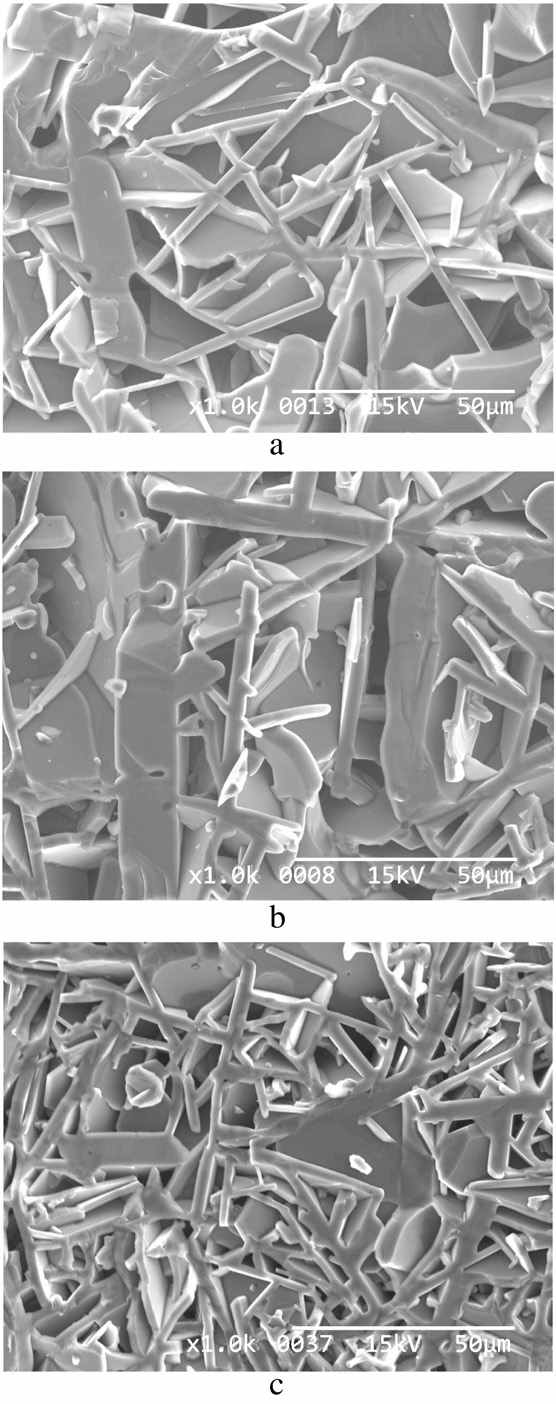 Fracture surfaces of SiC sintered specimen at 2100℃ for 1h