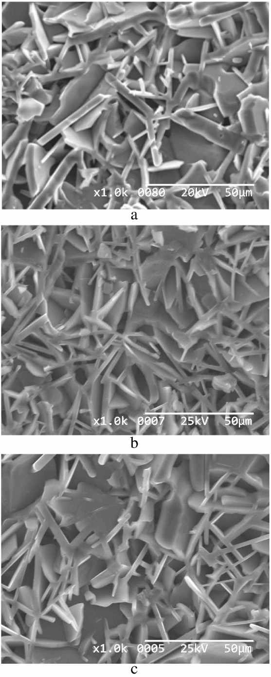 Fracture surfaces of SiC specimens prepared fromPMwith different concentrations of α-SiC seed sintered at 2100℃ for 10 min