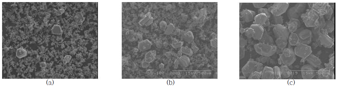 2150℃에서 열처리 시간에 따른 탄화규소 분말의 SEM 사진