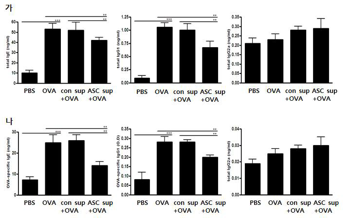 혈청 내 OVA-specific IgE, IgG1, IgG2a 농도 차이