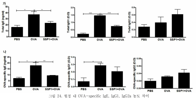 혈청 내 OVA-specific IgE, IgG1, IgG2a 농도 차이