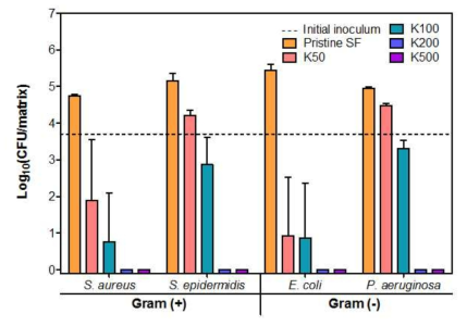 고정화된 항균성 펩타이드의 농도에 따른 실크 피브로인 나노섬유 지지체의 항균성 평가.