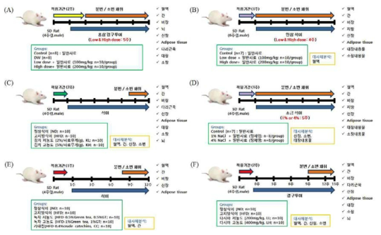 Experimental design for animal study.