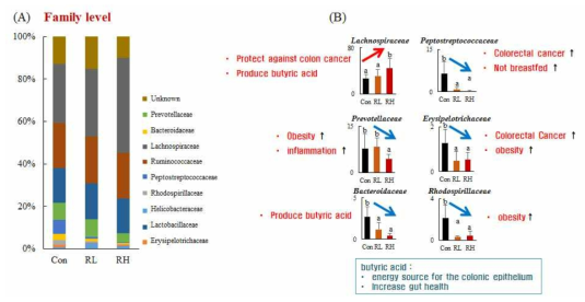 Relative abundance of partial sequences of bacterial 16S rRNA genes from fecal samples classified by MOTHUR at the phylum and genus levels with a modified 16S rRNA database from the Ribosomal Database Project (RDP).