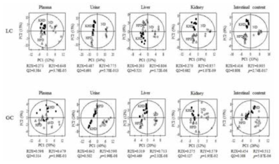 Partial least-squares discriminant analysis (PLS-DA) scores of and their quality parameters analyzed by GC-MS and LC-MS data from plasma (A), (E), liver (B) (F), kidney (C), (G) and intestinal content (D), (H) of rats with or without fed red ginseng, respectively.