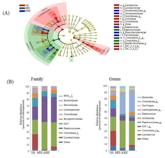 Microbial distribution at family and genus level.