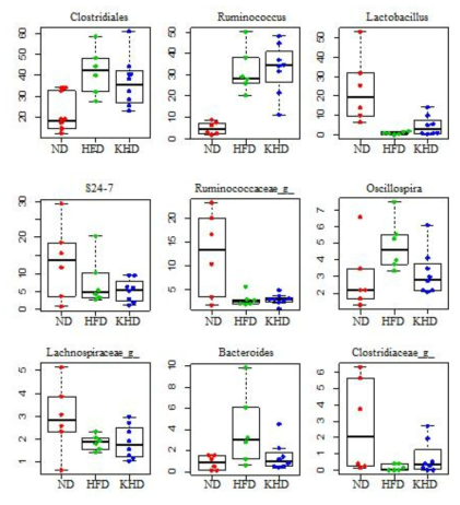 Box plots of microbial relative abundance demonstrating the difference among the groups.