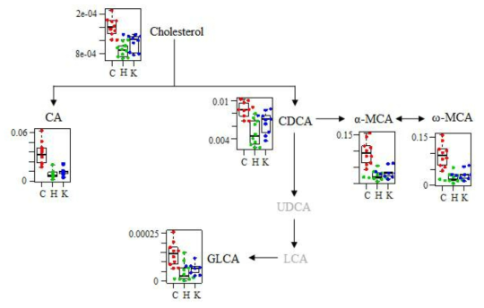 Intestinal bile acids associated with HFD and kimchi intake.